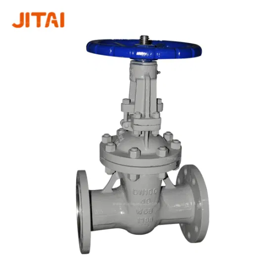 Flanged Electric/Pneumatic Water Wcb Wedge Type Stainless Steel Full Bore Pneumatic Actuated Gate Valve with Locking Device From API Manufacturer